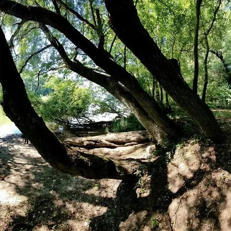 Apartamento Pop Tiny House *